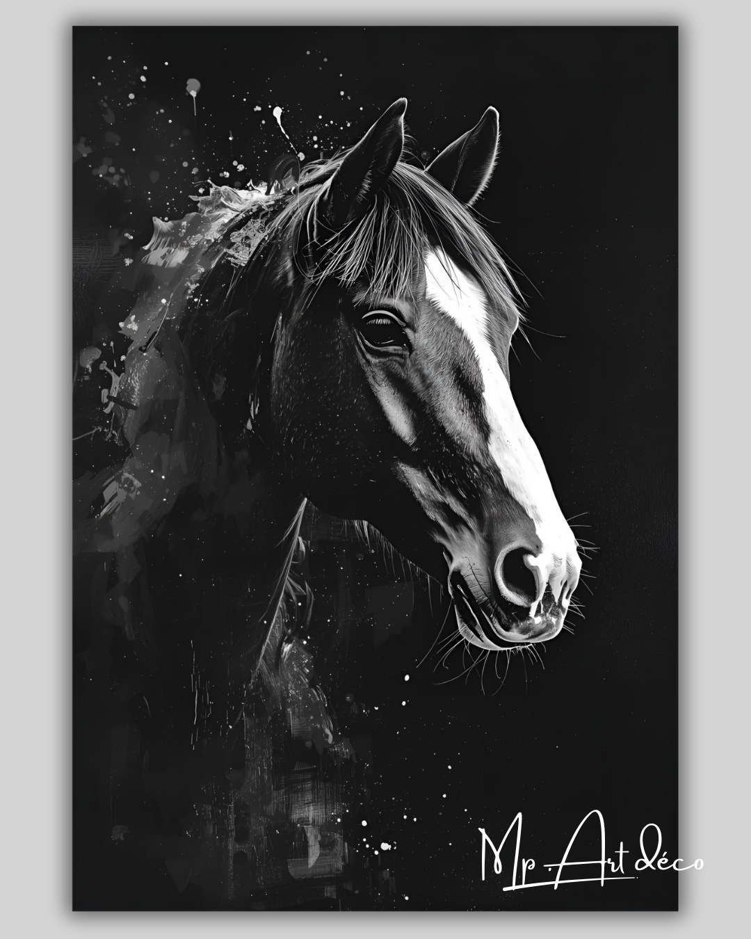 Tableau cheval noir et blanc